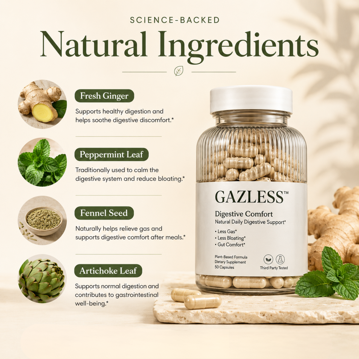 GAZLESS Digestive Comfort — 30 Capsules
