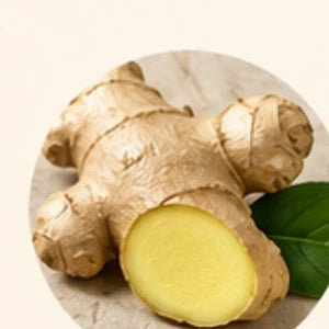 Fresh Ginger