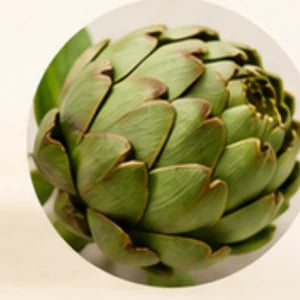Artichoke Leaf
